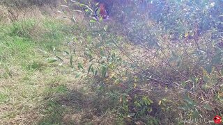 Étranger Baisée Catwoman Dans La Bouche Après La Méditation Dans La Forêt